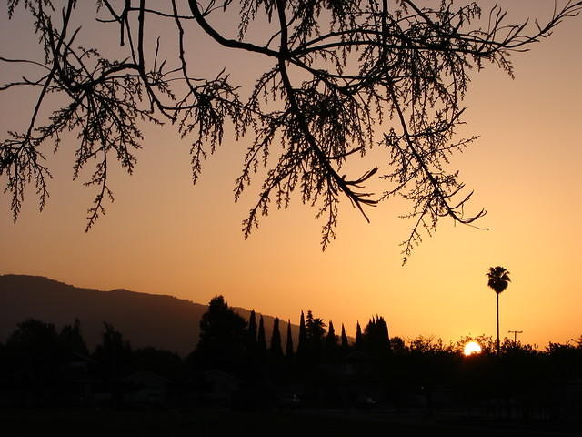 IMG 7001