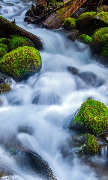Wallpaper 0035