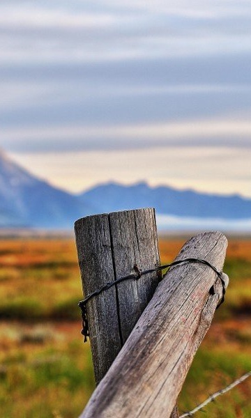 Wallpaper 0096