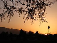 IMG 7001