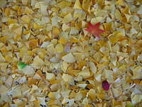 IMG 7743