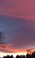 Wallpaper 0011