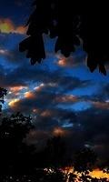 Wallpaper 0017
