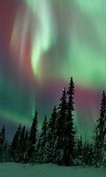 Wallpaper 0060