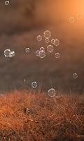 Wallpaper 0065