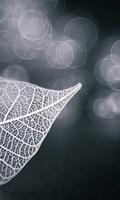 Wallpaper 0087