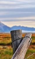 Wallpaper 0096